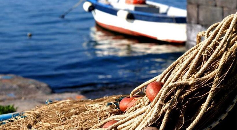 Avviso Pubblico: Indennizzi agli operatori economici della pesca - E.F. 2025. 