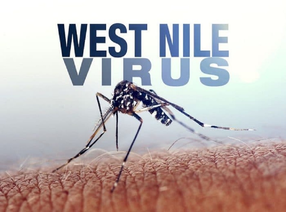 Sensibilizzazione delle persone che lavorano o vivono in aree a rischio per West Nile